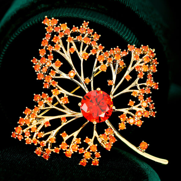 trấm cài áo lá phong đỏ