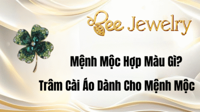 trâm cài áo dành cho mệnh mộc