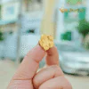 Huy Hiệu Ngân Hàng BIDV Mạ Vàng 24K (nhỏ)