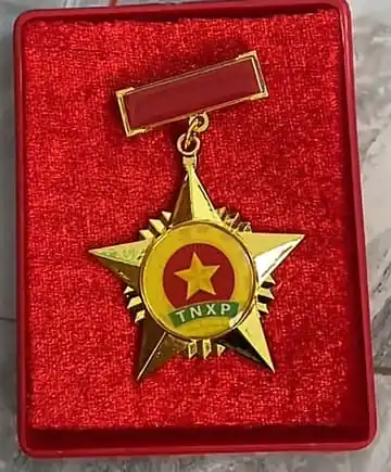Huy hiệu thanh niên xung phong