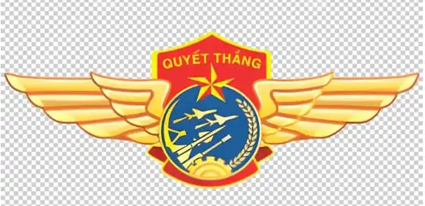 Huy hiệu Phòng không - Không quân